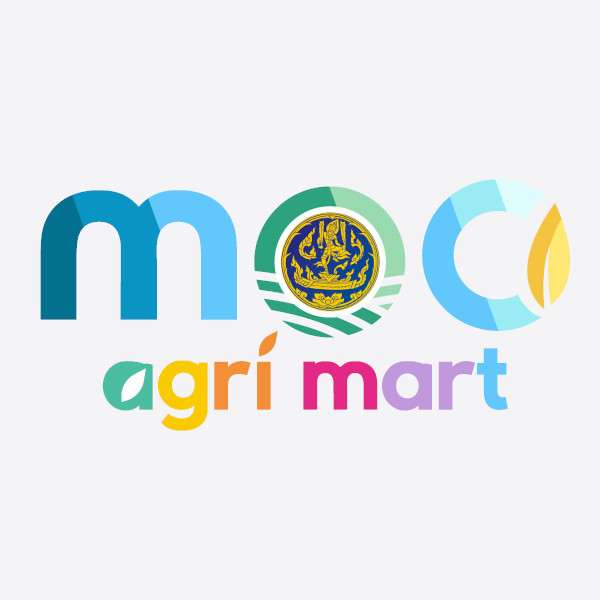 Standard Logo