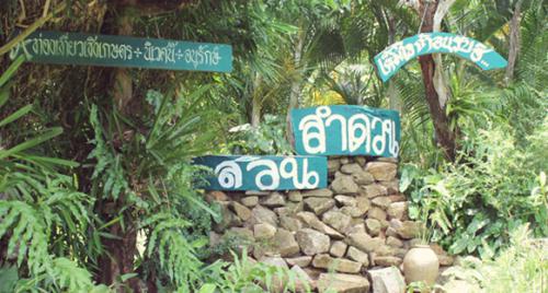 Attraction Image